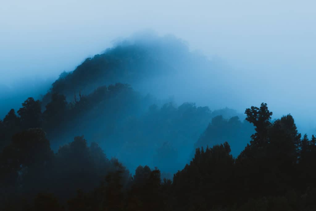 Dawn mist at Tarapounamu, in Te Urewara