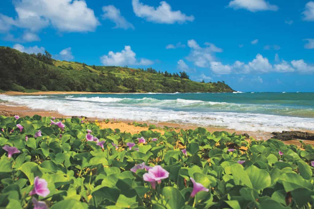 A pretty beach in Kauai