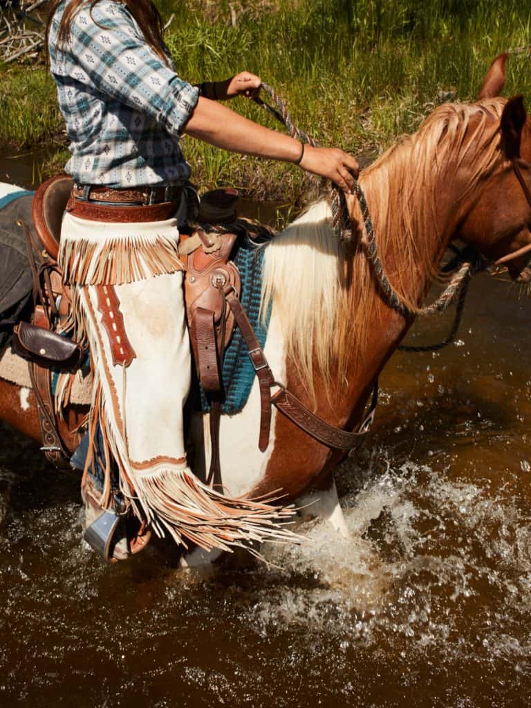 A horse and rider ford a creek during a cattle drive