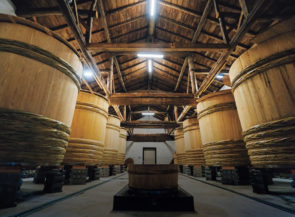 A large room filled with huge wooden barrels.
