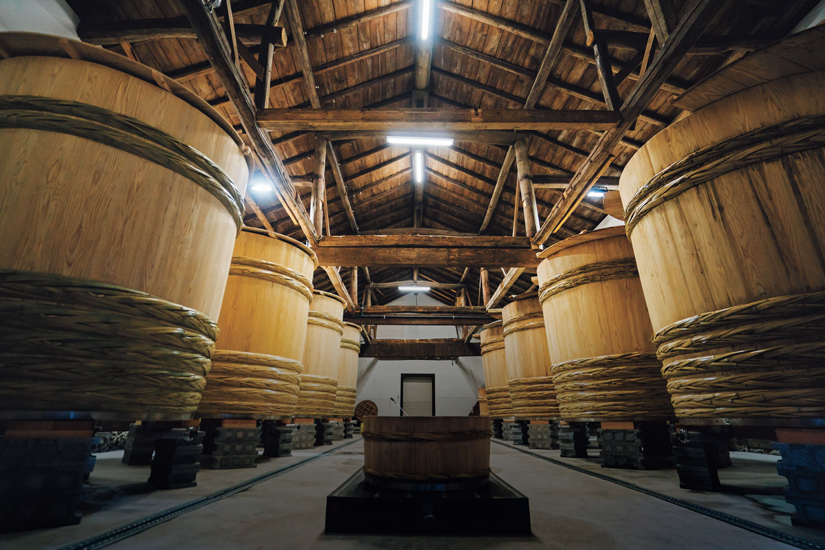 A large room filled with huge wooden barrels.