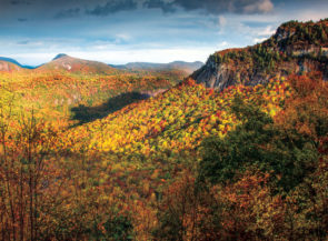 A bear-shaped shadow dominates a beautiful, mountainous forest in fall colors.