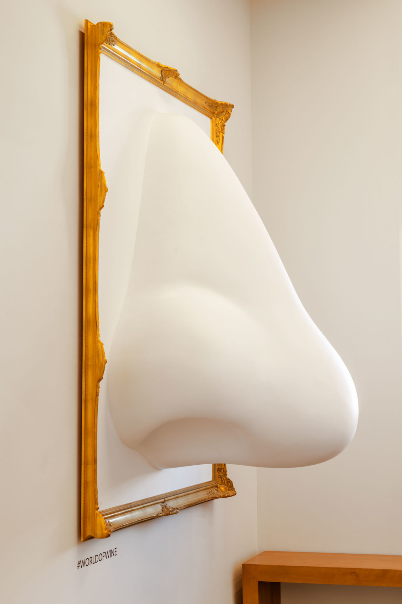A nose sculpture in a frame.